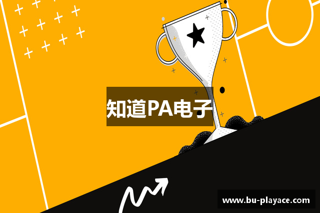 知道PA电子